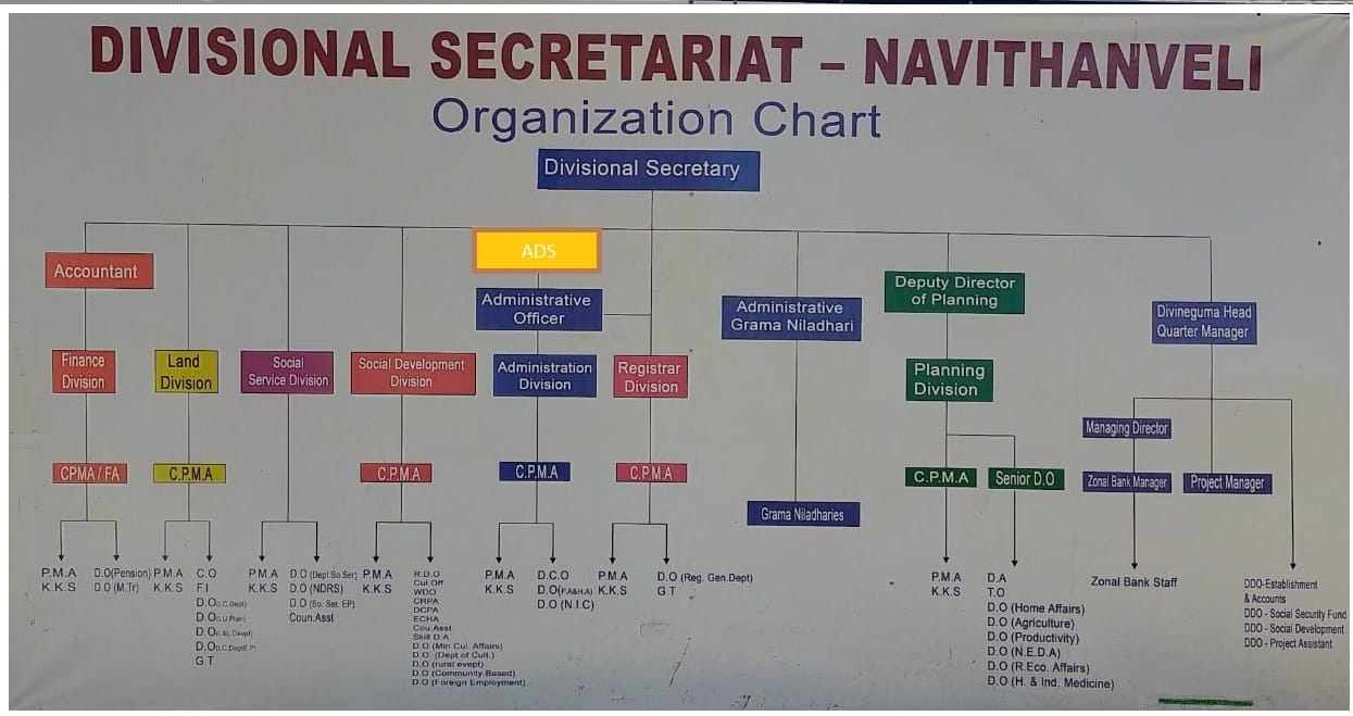 Org Chart 2022