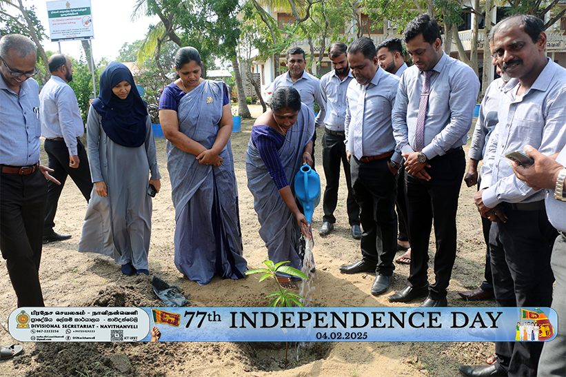 Independence Day 2025 17