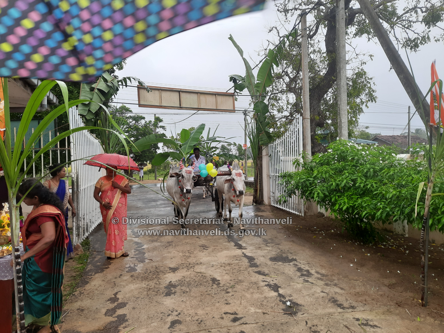 pongal vila 2023 3